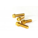 Титановый болт M5 *18