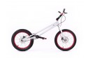 Рама Echo 20" Mark III