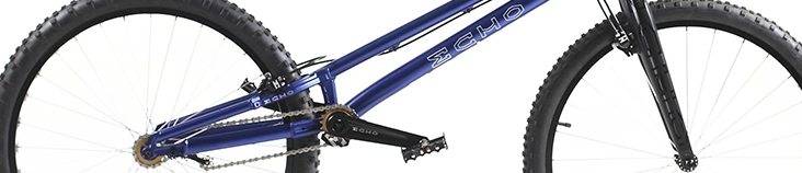 Echo bike 2019